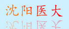 沈陽(yáng)醫(yī)大