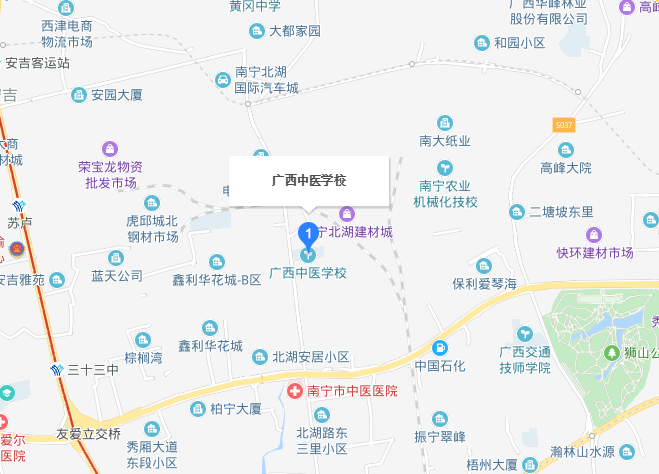 廣西中醫(yī)學校地址在哪里