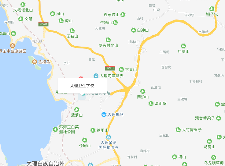 大理衛(wèi)生學(xué)校地址在哪里