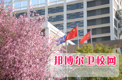 云南新興職業(yè)學院中專部2021年招生錄取分數(shù)線