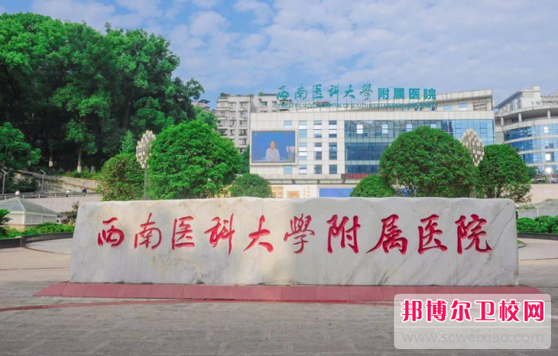 2024西南醫(yī)科大學(xué)附屬醫(yī)院衛(wèi)生學(xué)校有哪些專業(yè) 西南醫(yī)科大學(xué)附屬醫(yī)院衛(wèi)生學(xué)校開設(shè)的專業(yè)一覽表